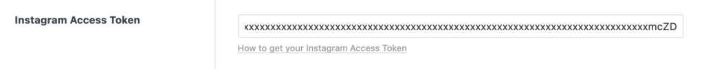 فیلد Instagram Access Token در تنظیمات Bricks